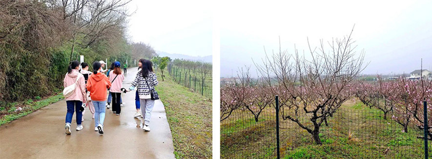 盼盼木業(yè)集團旗下品牌